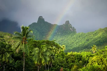 Cercles muraux Nature Arc-en-ciel sur le paysage de jungle et de montagnes de l& 39 île de Moorea