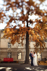 Lovely wedding couple admires each other under large autumn tree