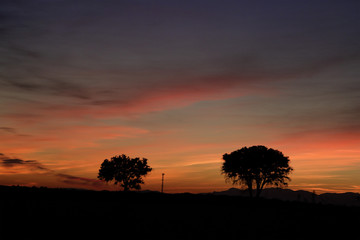 Fototapeta na wymiar Two trees silhouette on a beautiful sunset
