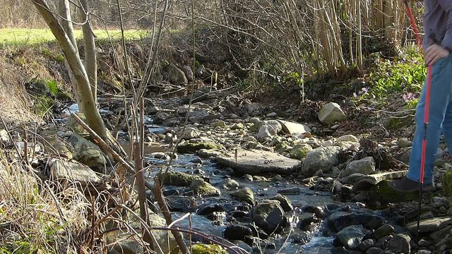 Hikers wading a stream. Walk in springtime.