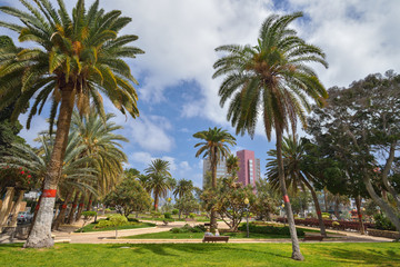 Fototapeta na wymiar Doramas Park in Las Palmas de Gran Canaria, Spain 