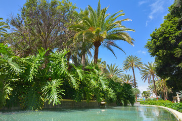 Fototapeta premium Doramas Park in Las Palmas de Gran Canaria, Spain 