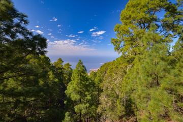 Mountainside landscape in Tamadaba natural park on Gran Canaria island, Spain
