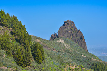 Mountain landscape with rocks and pine trees in Gran Canaria island, Spain
