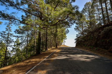 Mountainside road in Gran Canaria, Spain
