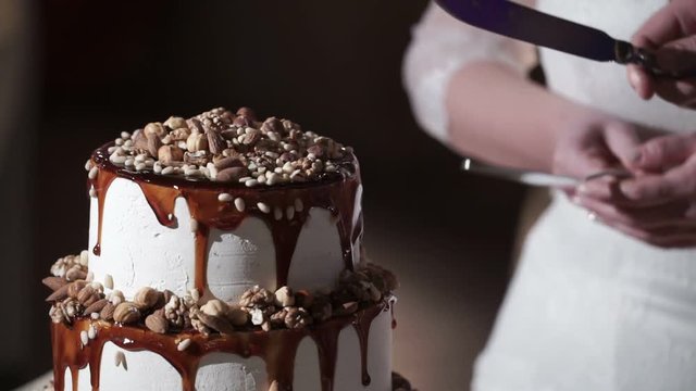Wedding couple cutting celebration cake closeup
