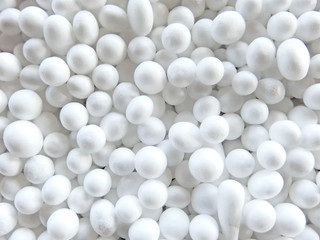 Spong withe background