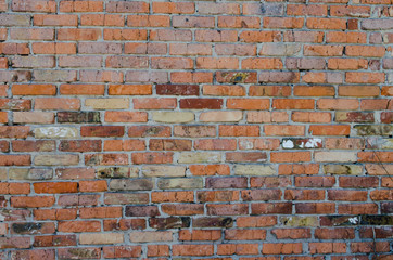 brick wall of old brick textured