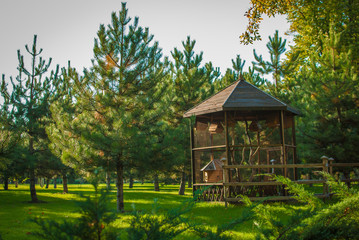 gazebo in the Park to set the mood and relax