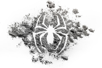 Spider silhouette symbol drawing made in ash, dirt, dust as s superhero, phobia, animal, danger, spooky, horror concept background © domagoj8888