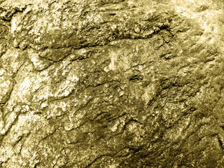 stone texture bark
