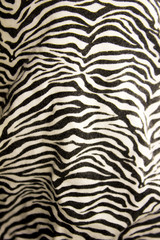 A zebra pattern © Anna