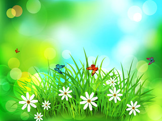 Vector element for design. Green grass with white flowers, butterflies on a  spring, meadow, blurred background