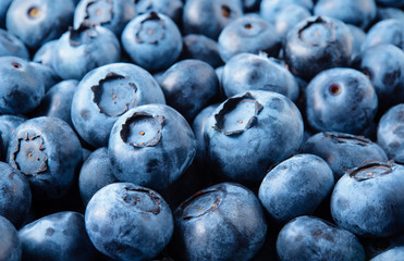 Blueberry. Fresh organic berries macro. Fruit background