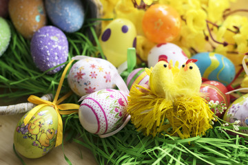 Easter Eggs and chicken