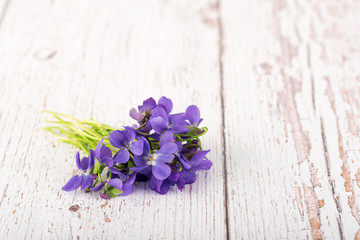 Violet flowers on a wooden background