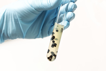 chemical test tube in hand on white isolated background