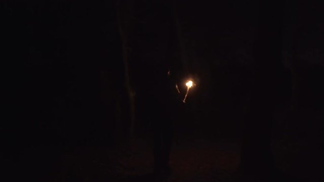 A wandering man in a forest with a burning torch
