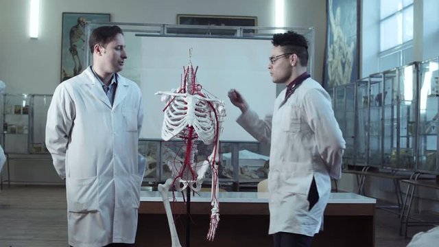 Young Student And Teacher In Medical Anatomy Class Examining Skeleton