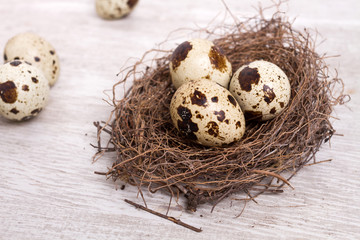 quail eggs in the nest on wood