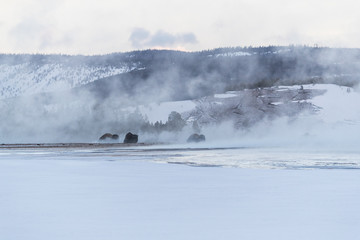 View at West Geyser, Yellowstone national park 