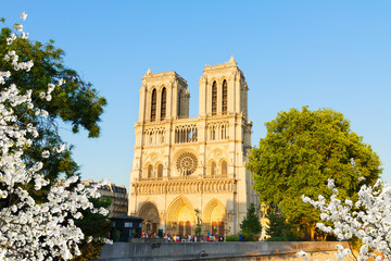 Fototapeta na wymiar facade of famous Notre Dame cathedral at spring day, Paris, France
