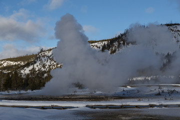 View at West Geyser, Yellowstone national park