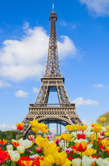 Eiffel Tower in sunny spring day day with tulips, Paris, France