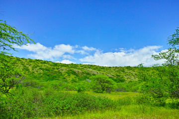 ハワイ　ダイヤモンドヘッドの内部から見た風景