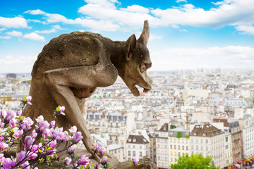 Gargoyle on Notre Dame Cathedral over Paris with magnolia flowers, France
