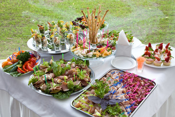 Different snacks and appetizers ready for a cocktail party. Catering concept.