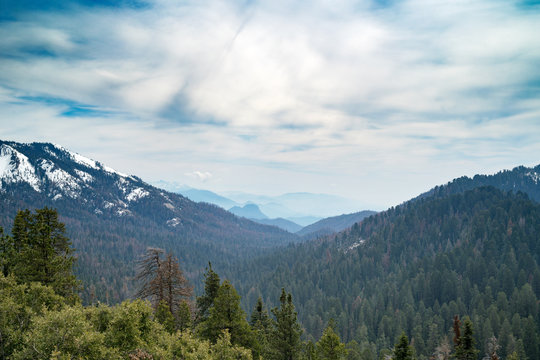 Landscape of Sequoia National park in spring with mountain peaks covered by snow © paffy
