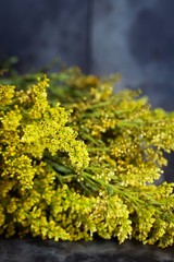 Bunch of Yellow flowers background - Spring concept, soft focus