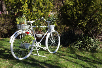 Fototapeta na wymiar bicycle with flowers pots