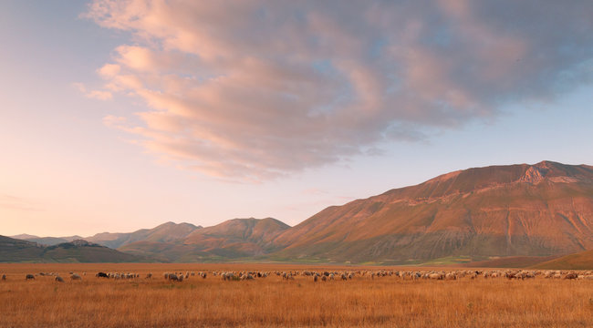 Europe,Italy,Umbria,Perugia district,Castelluccio of Norcia. Sibillini mountains at sunset