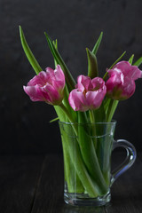 Fresh pink tulip flowers bouquet in a glass jar on dark background