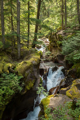 Glacier National Park, Montana