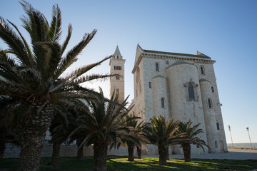 Cattedrale di Tranii