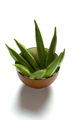 Okra in a bowl isolated over white background