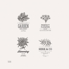 Vintage nature logo collection. Engraved logo set. Vector illustration