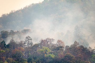 Destroyed by burning tropical forest ,Thailand