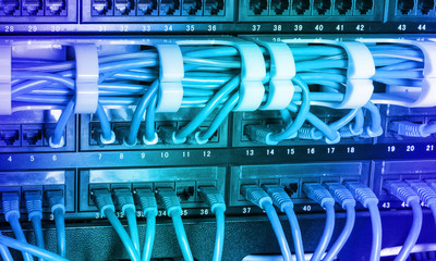 Server rack with blue internet patch cord cables