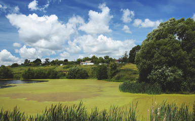 Summer coyntryside landscape.