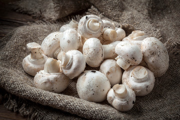 Freshly harvested mushrooms.