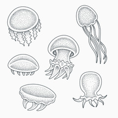 Small baby jellyfishes vector illustration. Blackwork dotwork tattoo design.
