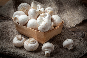 Freshly harvested mushrooms.