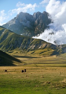The Gransasso Standing tall over the valley at his feet invaded by the peace and tranquility of the mountain life.
