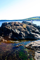 Tidal Pools in Acadia National Park