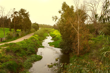 The Nahal Poleg nature reserve. Israel