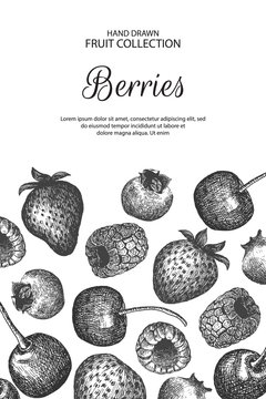 Decorative background with berries.  Can be label and banner for natural or organic fruit product and health care goods. 